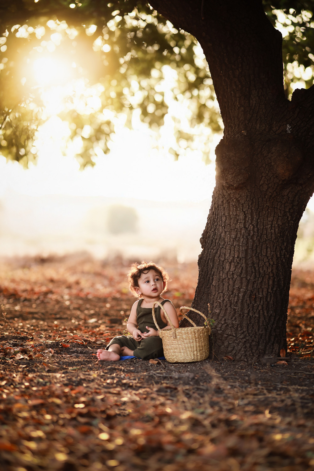 Golden-Forest-Moments-3