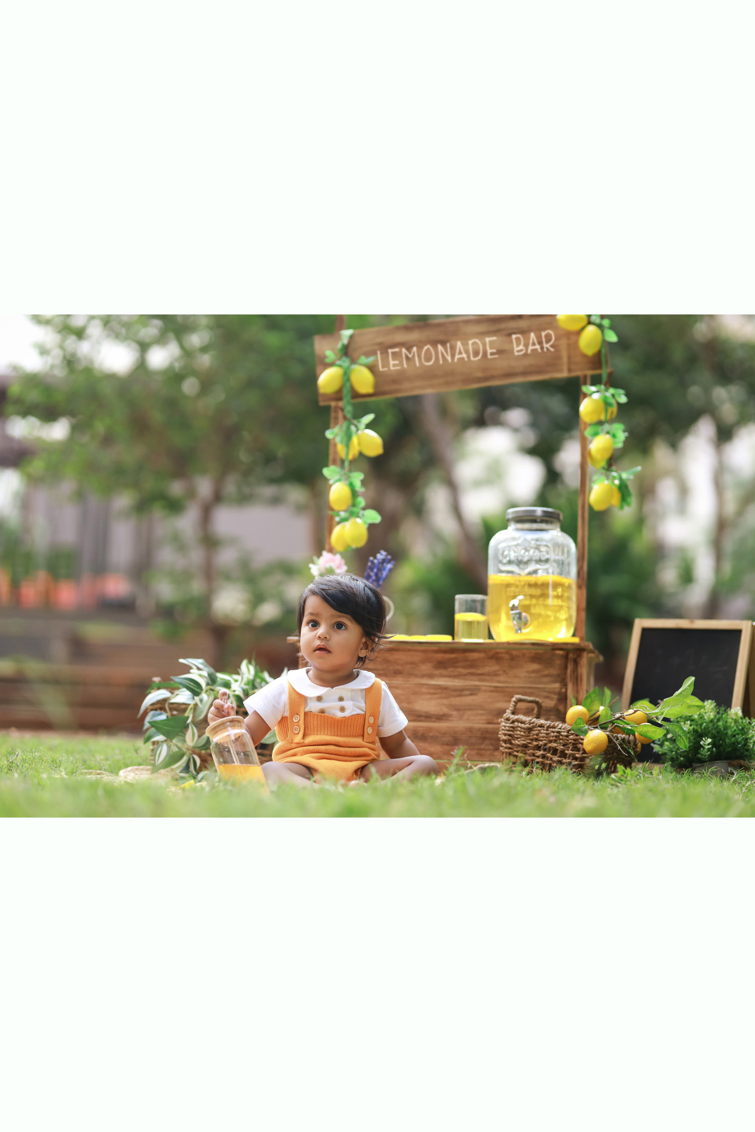 Lemonade-theme-1