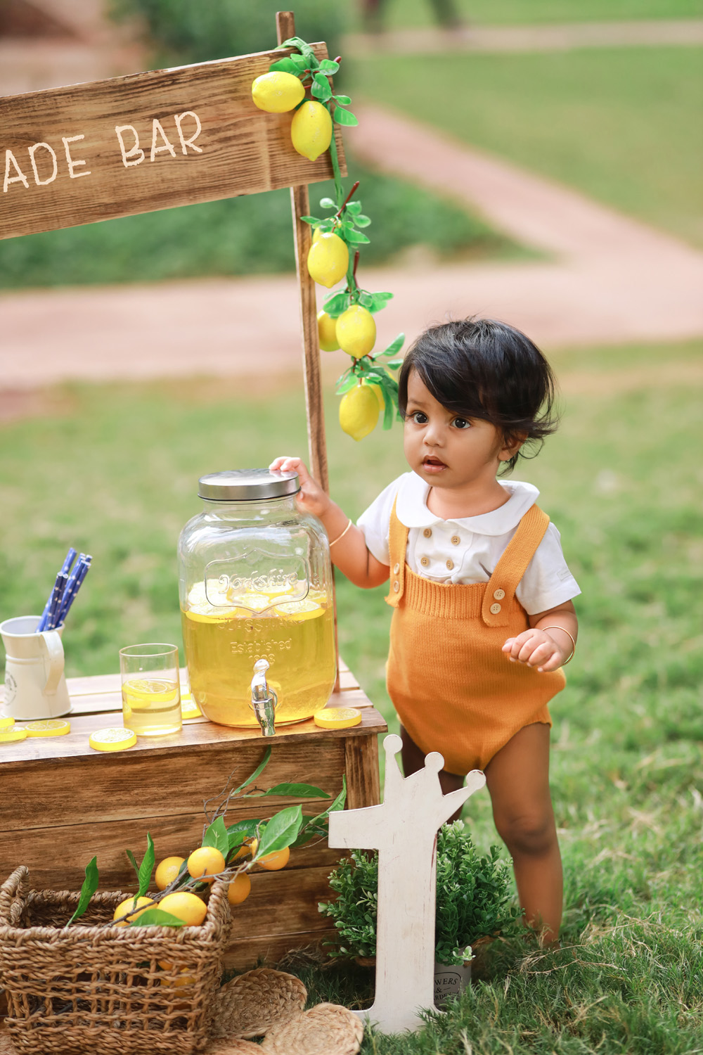 Lemonade-theme-2