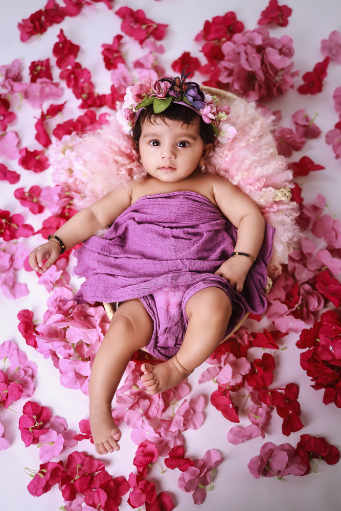 Pink-Petals-0-3-4