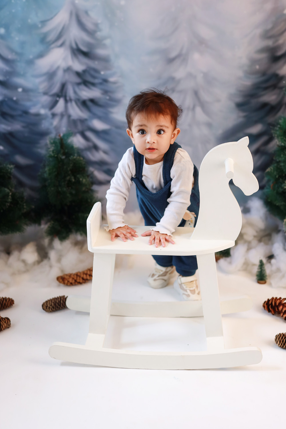 WInter-Theme-3