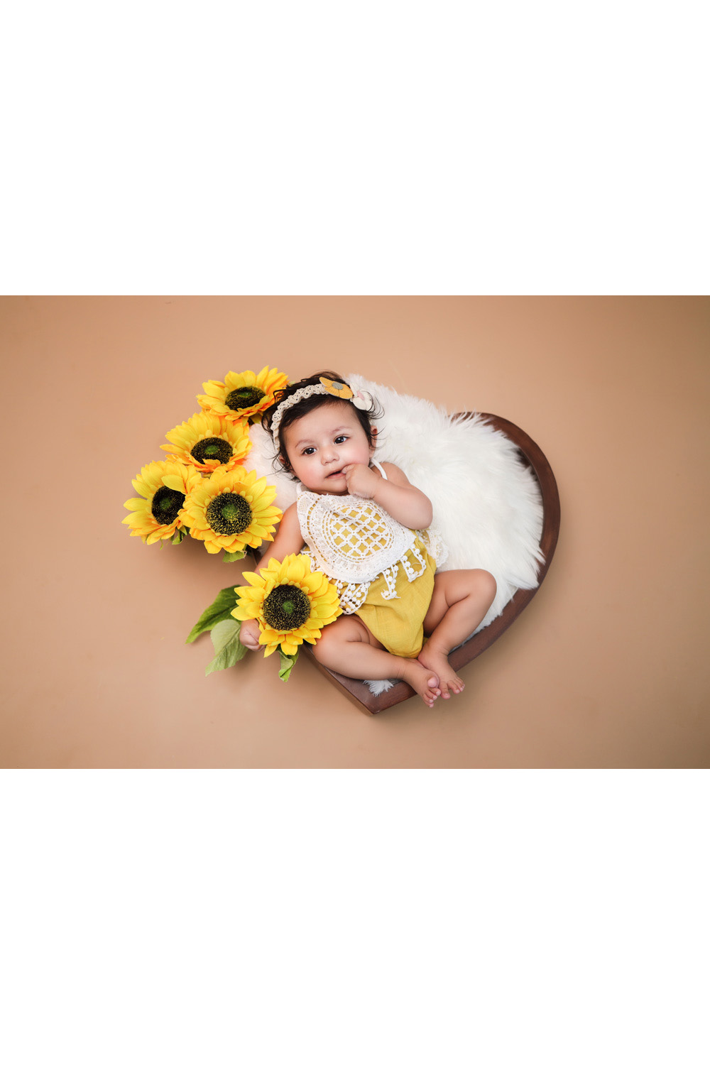 sunflower-theme0-3-1