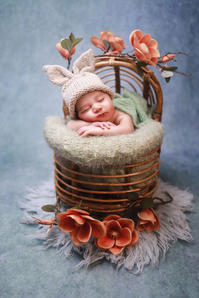 the-Nest-0-3-3