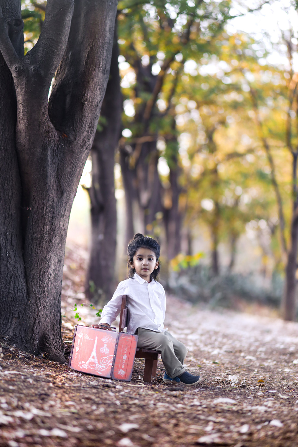 travel-to-forest-1