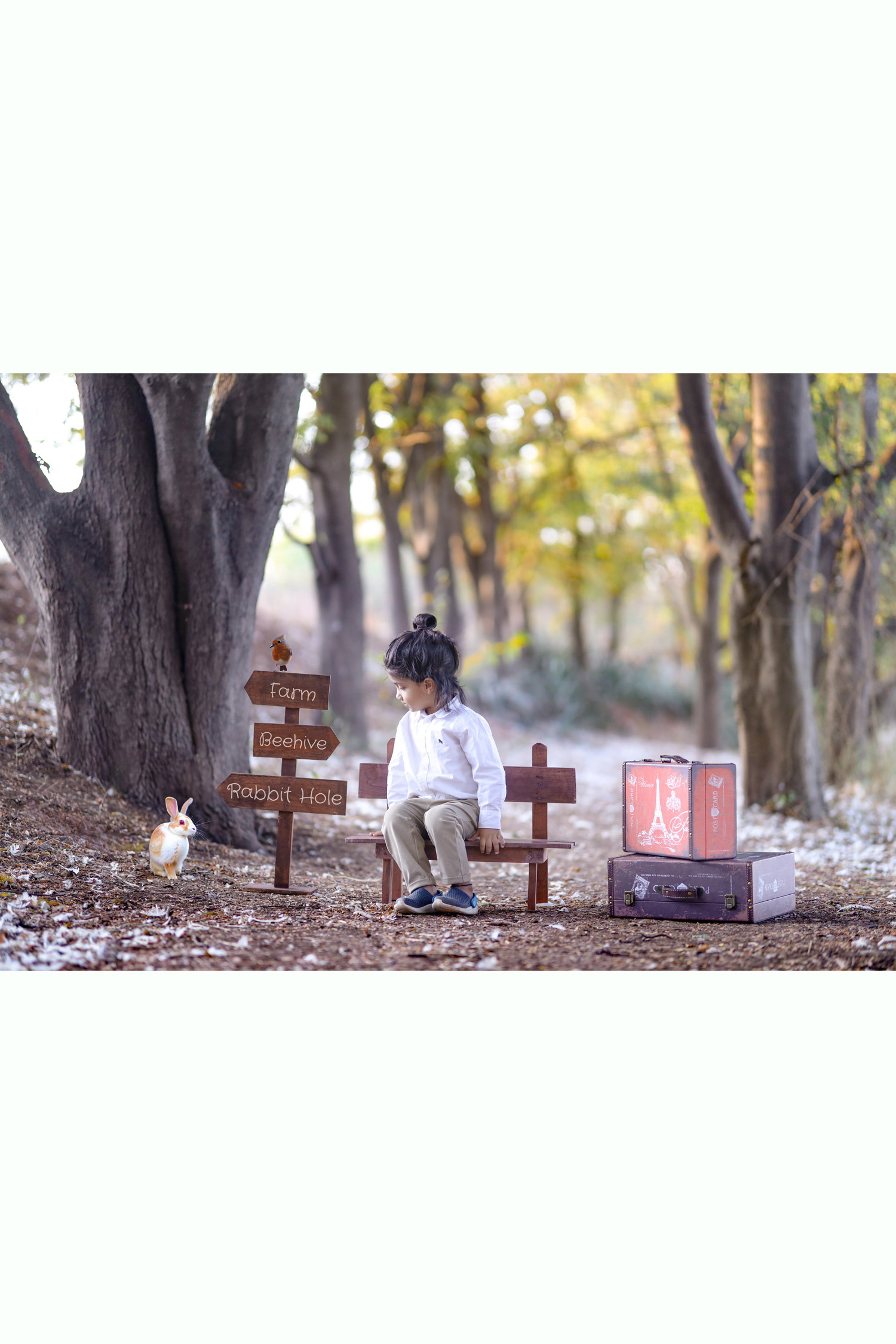 travel-to-forest-4